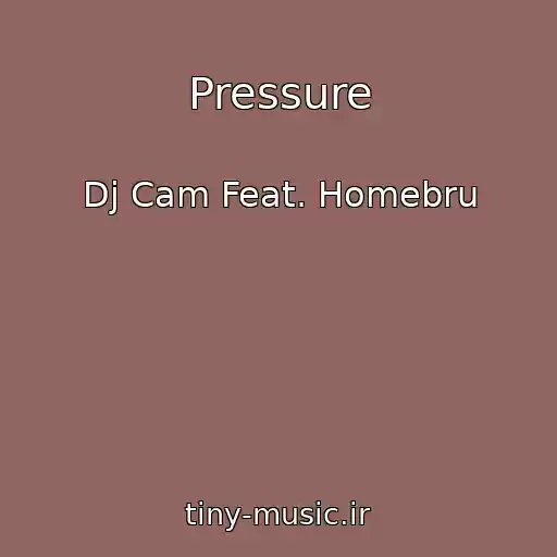 کاور آهنگ Pressure از Dj Cam Feat. Homebru