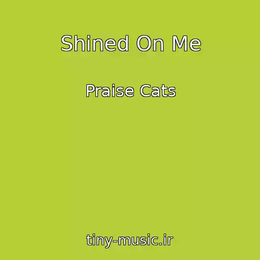 کاور آهنگ Shined On Me از Praise Cats