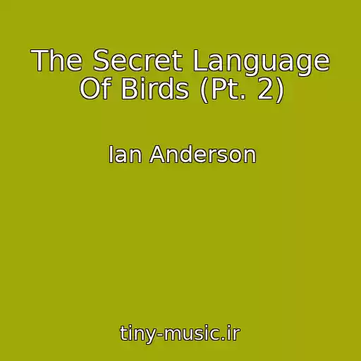 کاور آهنگ The Secret Language Of Birds (Pt. 2) از Ian Anderson