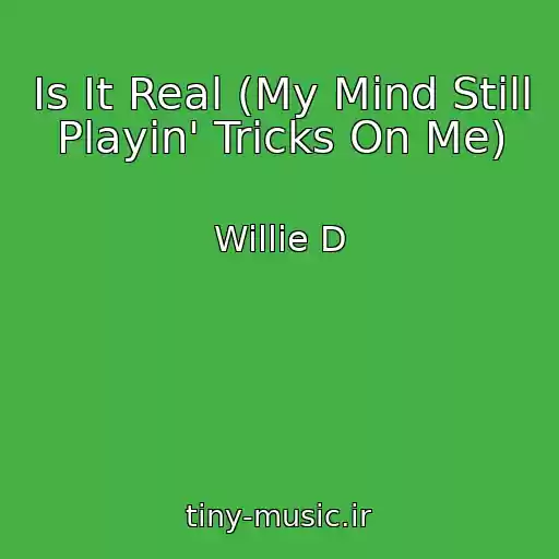 کاور آهنگ Is It Real (My Mind Still Playin' Tricks On Me) از Willie D
