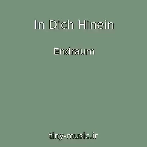 کاور آهنگ In Dich Hinein از Endraum