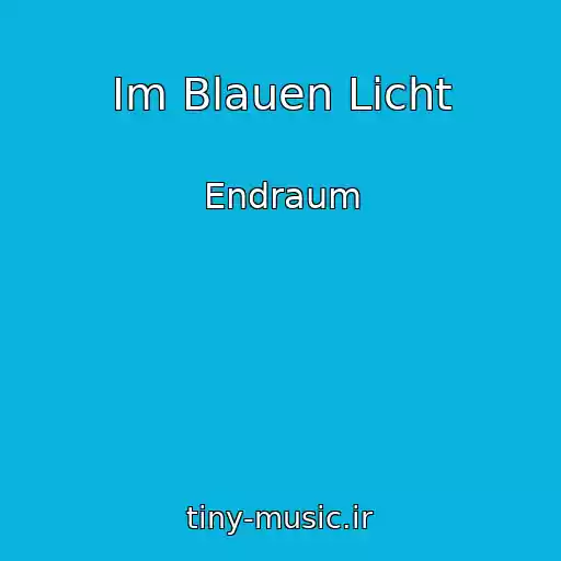 کاور آهنگ Im Blauen Licht از Endraum