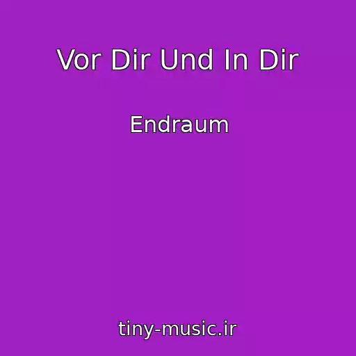 کاور آهنگ Vor Dir Und In Dir از Endraum