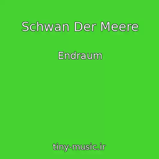 کاور آهنگ Schwan Der Meere از Endraum