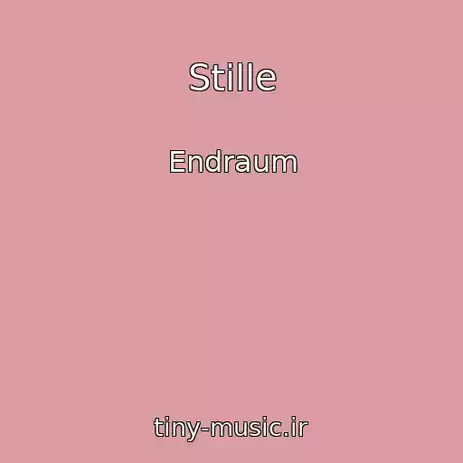 کاور آهنگ Stille از Endraum