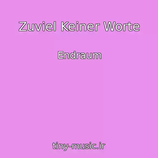 کاور آهنگ Zuviel Keiner Worte از Endraum
