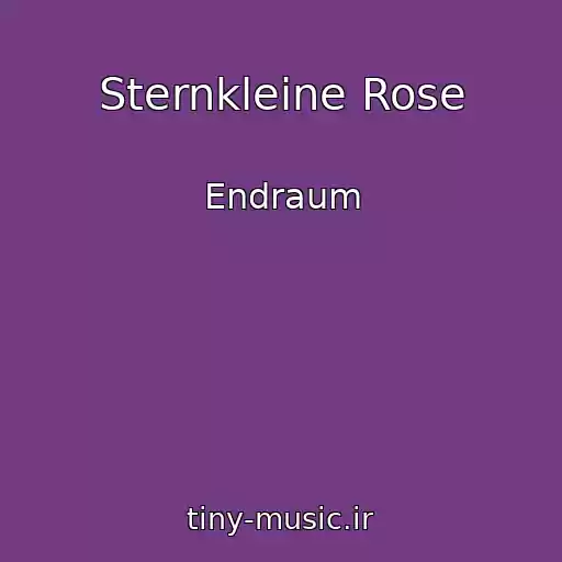 کاور آهنگ Sternkleine Rose از Endraum