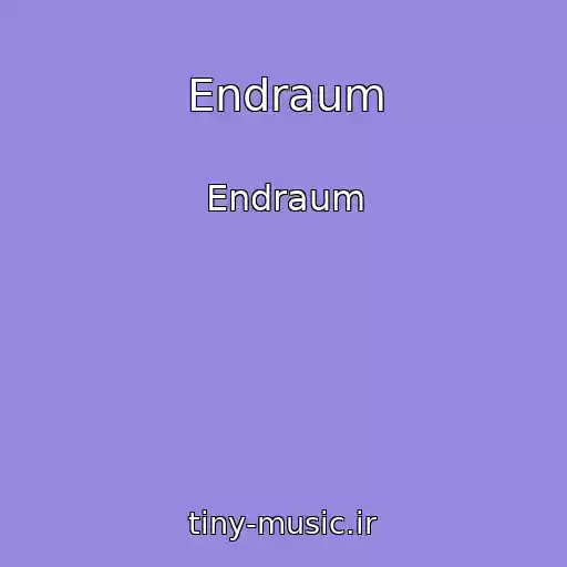 کاور آهنگ Endraum از Endraum