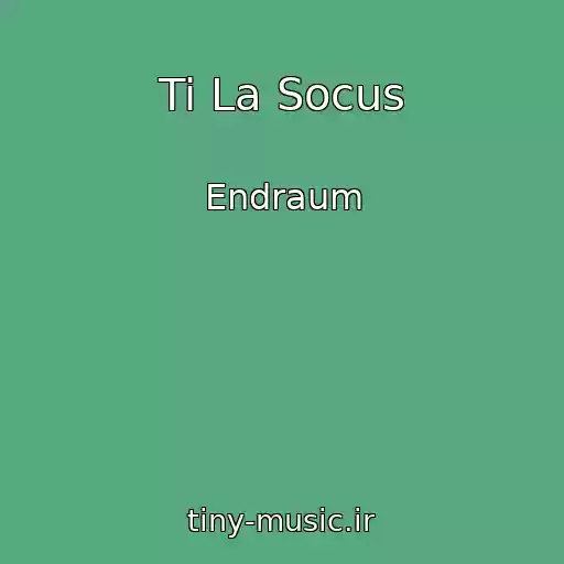 کاور آهنگ Ti La Socus از Endraum