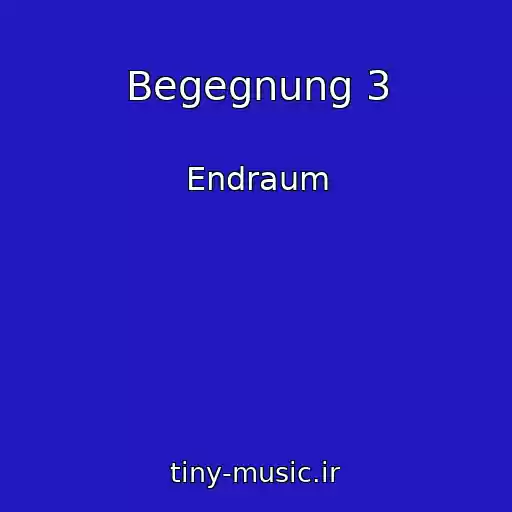 کاور آهنگ Begegnung 3 از Endraum