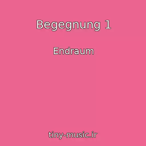 کاور آهنگ Begegnung 1 از Endraum