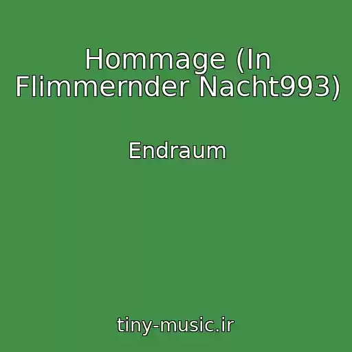 کاور آهنگ Hommage (In Flimmernder Nacht993) از Endraum