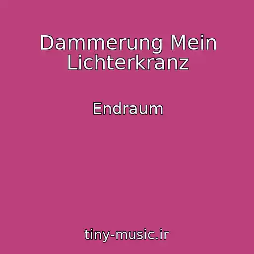 کاور آهنگ Dammerung Mein Lichterkranz از Endraum