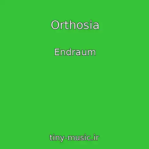 کاور آهنگ Orthosia از Endraum