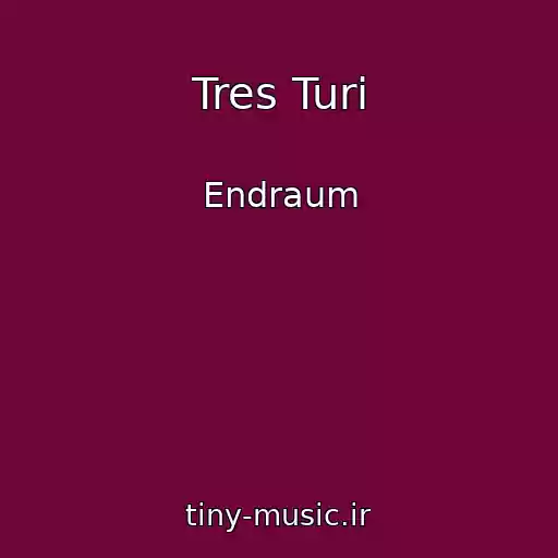 کاور آهنگ Tres Turi از Endraum