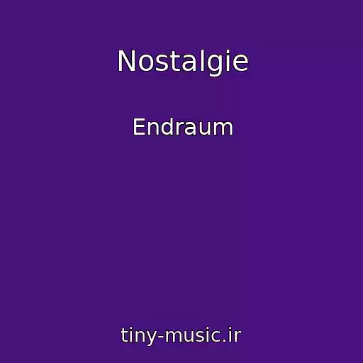 کاور آهنگ Nostalgie از Endraum