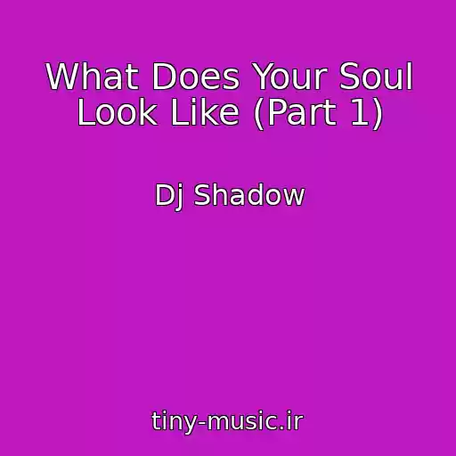 کاور آهنگ What Does Your Soul Look Like (Part 1) از Dj Shadow