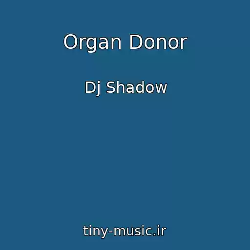 کاور آهنگ Organ Donor از Dj Shadow