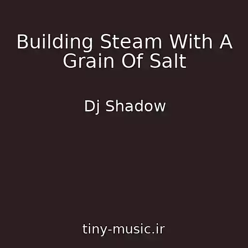 کاور آهنگ Building Steam With A Grain Of Salt از Dj Shadow