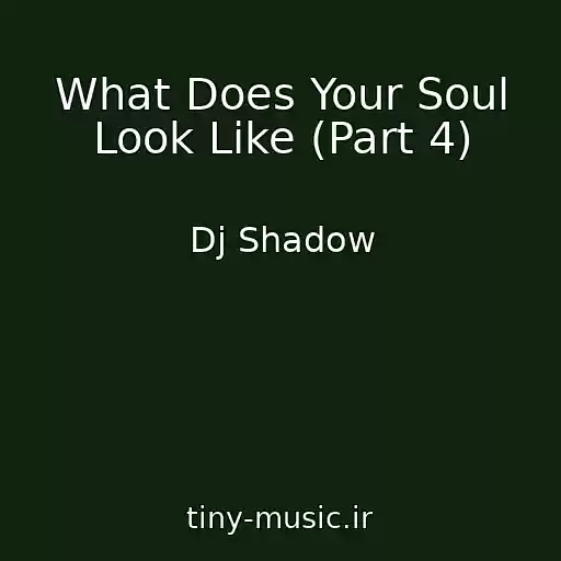 کاور آهنگ What Does Your Soul Look Like (Part 4) از Dj Shadow