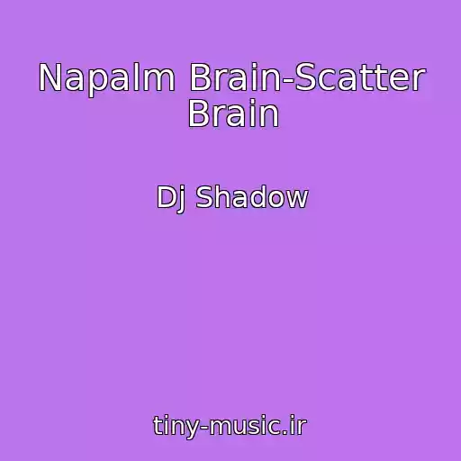 کاور آهنگ Napalm Brain-Scatter Brain از Dj Shadow
