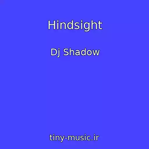 کاور آهنگ Hindsight از Dj Shadow