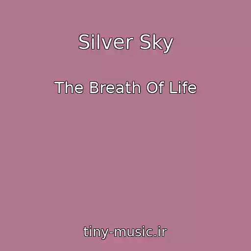کاور آهنگ Silver Sky از The Breath Of Life