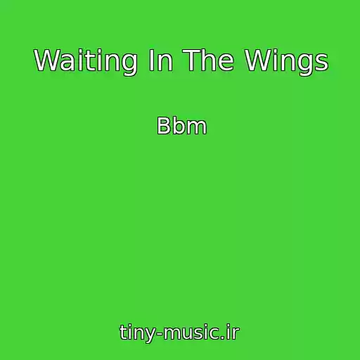 کاور آهنگ Waiting In The Wings از Bbm