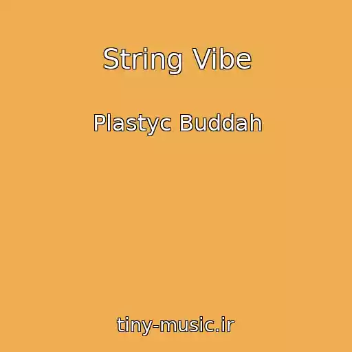 کاور آهنگ String Vibe از Plastyc Buddah