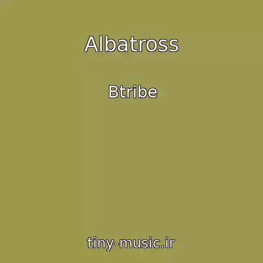 کاور آهنگ Albatross از Btribe