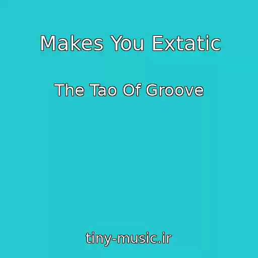 کاور آهنگ Makes You Extatic از The Tao Of Groove