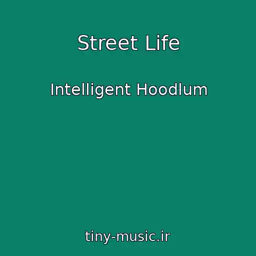 کاور آهنگ Street Life از Intelligent Hoodlum