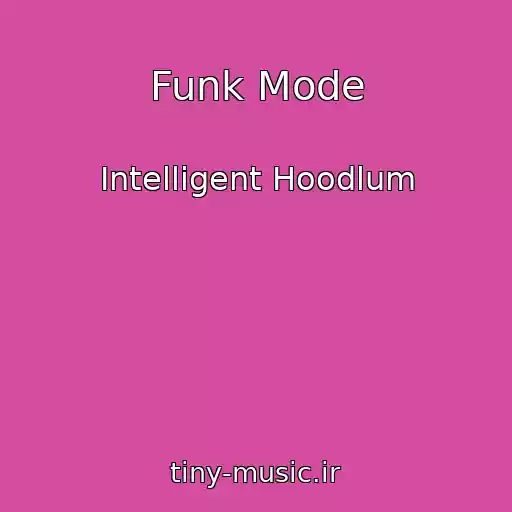 کاور آهنگ Funk Mode از Intelligent Hoodlum