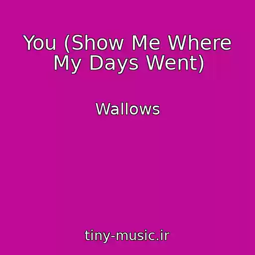 کاور آهنگ You (Show Me Where My Days Went) از Wallows