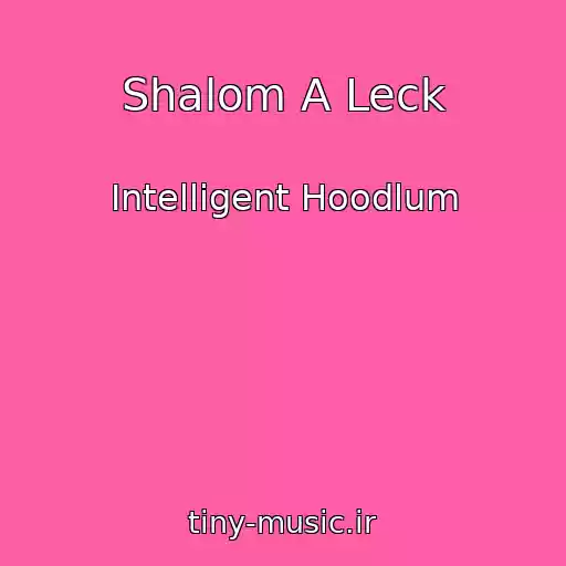 کاور آهنگ Shalom A Leck از Intelligent Hoodlum