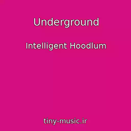 کاور آهنگ Underground از Intelligent Hoodlum