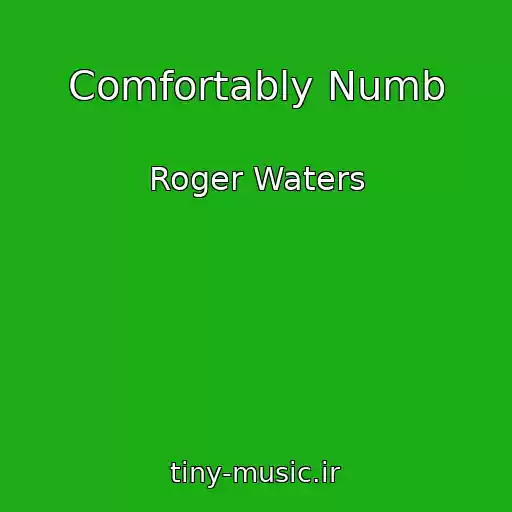 کاور آهنگ Comfortably Numb از Roger Waters