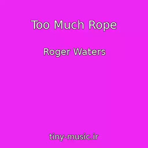 کاور آهنگ Too Much Rope از Roger Waters