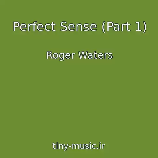 کاور آهنگ Perfect Sense (Part 1) از Roger Waters