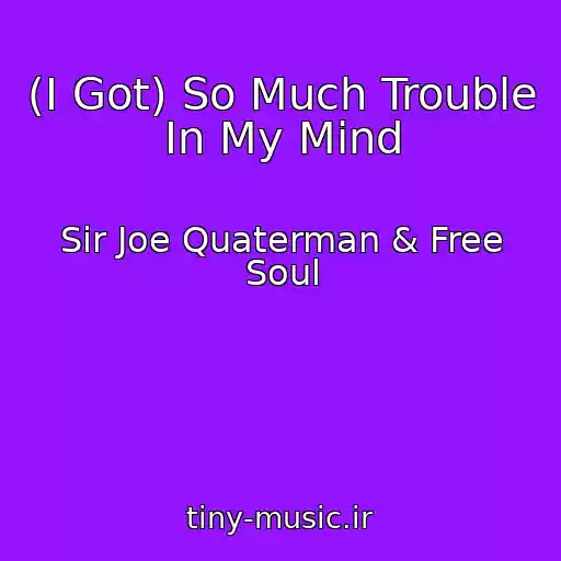 کاور آهنگ (I Got) So Much Trouble In My Mind از Sir Joe Quaterman & Free Soul