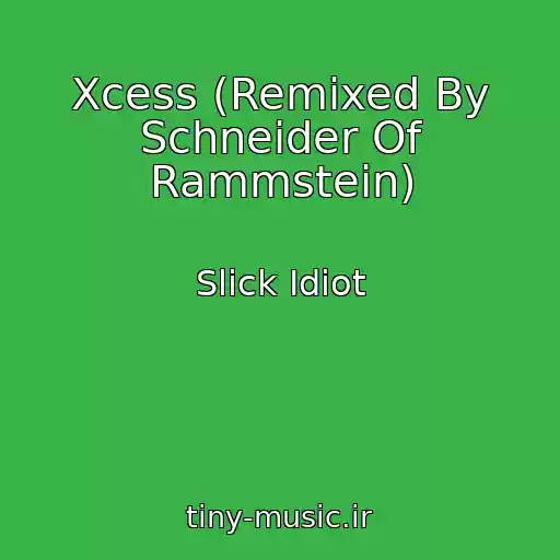 کاور آهنگ Xcess (Remixed By Schneider Of Rammstein) از Slick Idiot