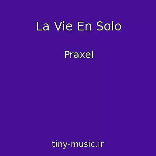 کاور آهنگ La Vie En Solo از Praxel