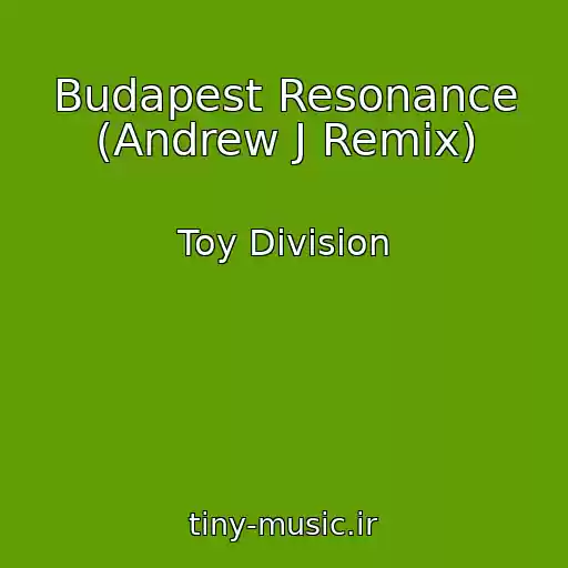 کاور آهنگ Budapest Resonance (Andrew J Remix) از Toy Division