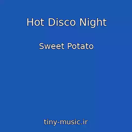 کاور آهنگ Hot Disco Night از Sweet Potato