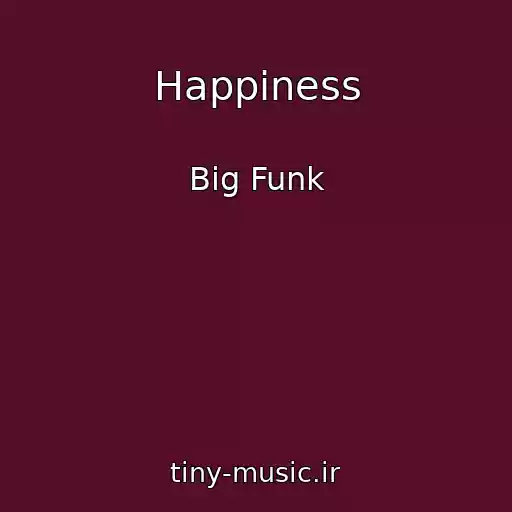 کاور آهنگ Happiness از Big Funk