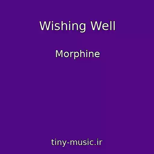 کاور آهنگ Wishing Well از Morphine
