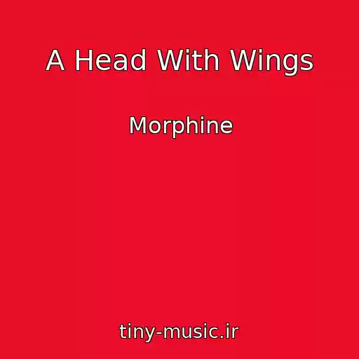 کاور آهنگ A Head With Wings از Morphine