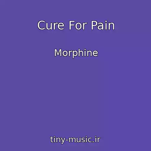 کاور آهنگ Cure For Pain از Morphine
