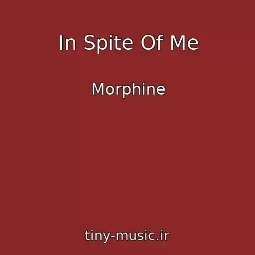 کاور آهنگ In Spite Of Me از Morphine