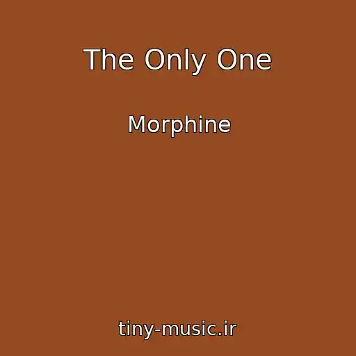 کاور آهنگ The Only One از Morphine